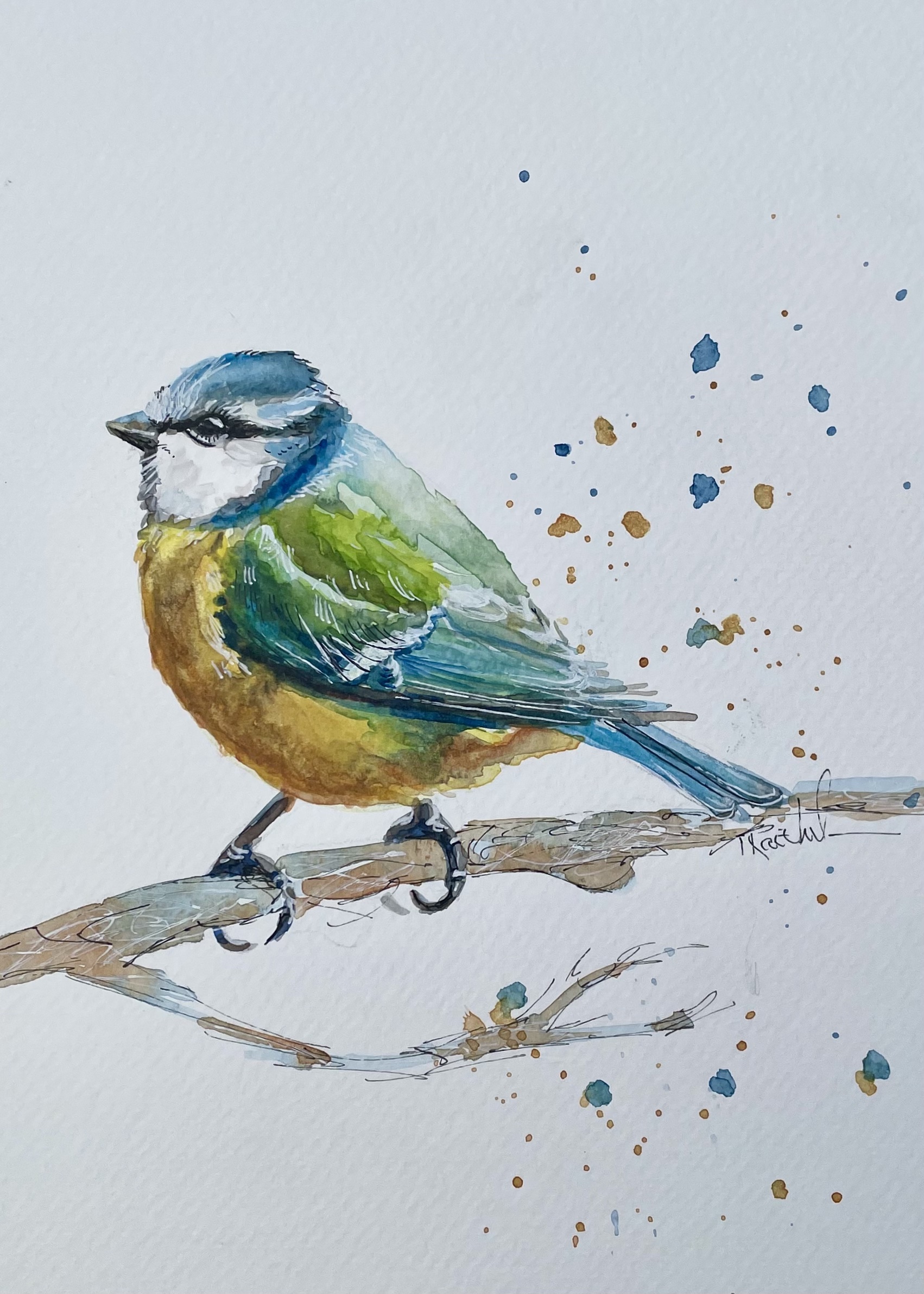 Eurasian Blue-tit